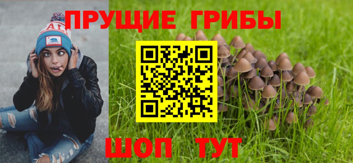 Вязьма  Псилоцибиновые грибы мухоморы  Вход с VPN  продажа наркотиков  Псилоцибиновые грибы прущие грибы 