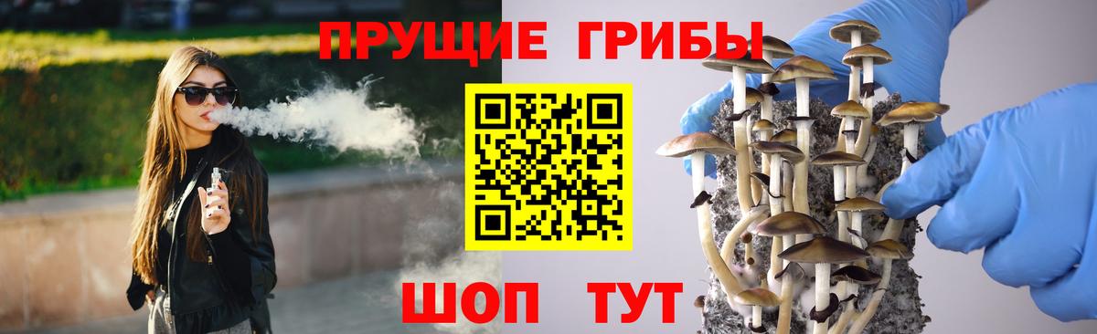 Псилоцибиновые грибы GOLDEN TEACHER Вязьма